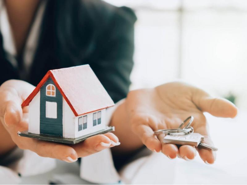 Real Estate
